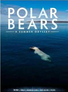 《北极熊：一个夏天的奥德赛》