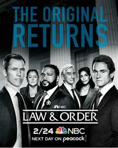 《法律与秩序 第二十一季》