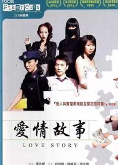 《爱情故事2006》