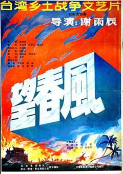 《望春风1987》