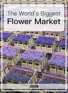 《世界上最大的鲜花市场》