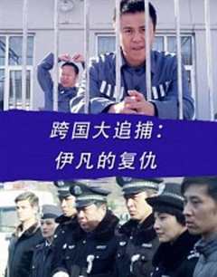 《跨国大追捕：伊凡的复仇》