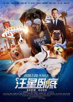 《警犬参加犬展比赛，它想要获得冠军，只为了救回被偷走的熊猫#汪星卧底》