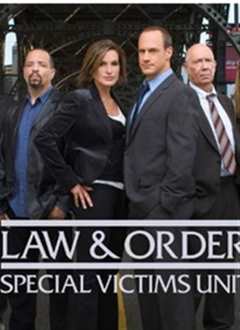 《法律与秩序：特殊受害者第八季》