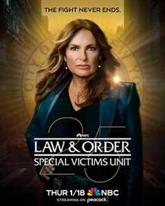 《法律与秩序：特殊受害者第二十五季》