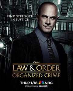 《法律与秩序：组织犯罪第四季》