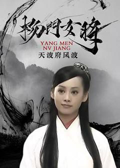 《杨门女将之天波府风波》