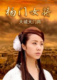 《杨门女将之大破天门阵》