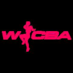 《WCBA 上海浦发银行vs山西竹叶青酒20241116》