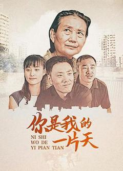 《儿子2008[电影解说]》