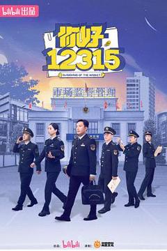 《你好，12315》