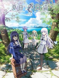 《夏日口袋》