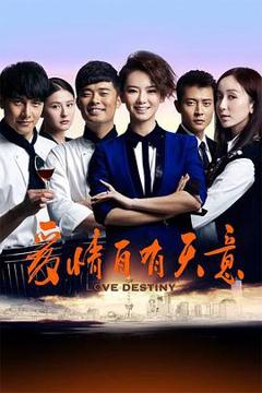 《爱情自有天意2013[电影解说]》