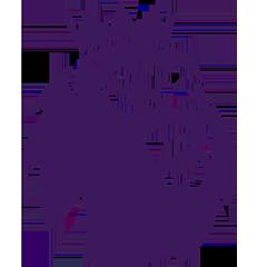 《英超 狼队vs布莱顿20250510》