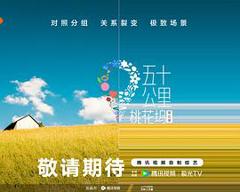 《五十公里桃花坞5》