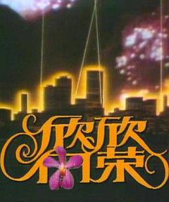 《欣欣向荣》