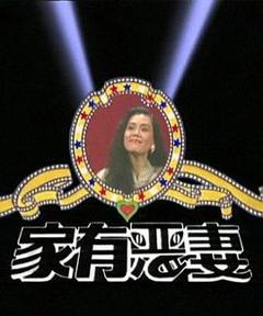 《家有恶妻》