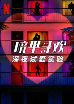 《暗里寻欢：深夜试爱实验》