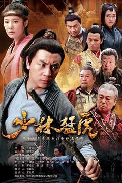 《武林猛虎[电影解说]》