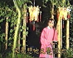 《凤阳士人》