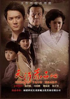 《天涯赤子心[电影解说]》