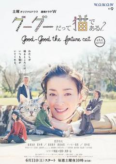 《咕咕是一只猫第二季》