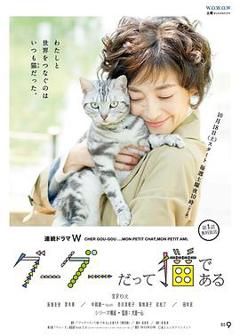 《咕咕是一只猫第一季》