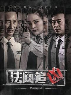 《法网追凶[电影解说]》