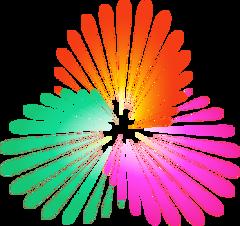 《NBL 合肥狂风峻茂vs广西威壮20250801》