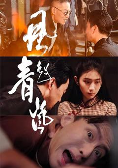《风起青岚》