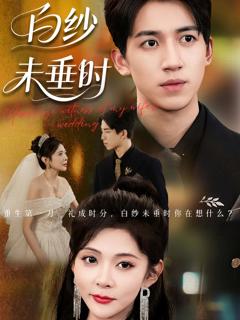 《老婆婚礼我当证婚人，白纱未垂时》