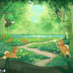 《向往的生活第八季》