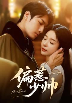 《偏惹少帅》