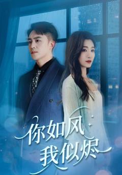 《你如风我似烬》