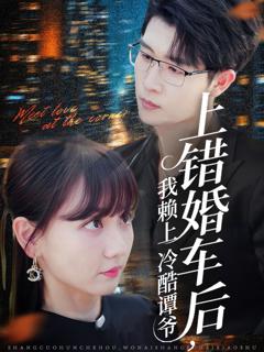 《上错婚车后我赖上冷酷谭爷》