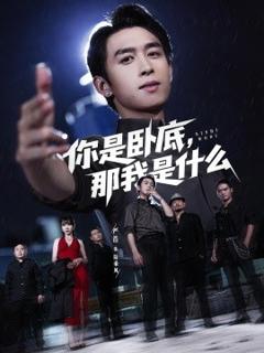 《你是卧底那我是什么》