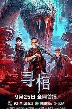 《寻棺》