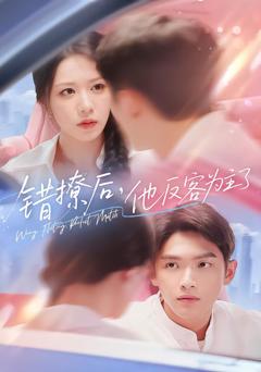 《错撩后他反客为主了》