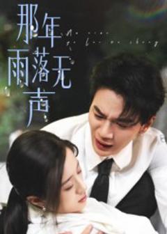 那年雨落无声