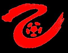 《中乙 泉州亚新vs湖北青年星20251004》