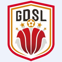 《广东省城市足球超级联赛 湛江锐虎vs河源乐里20250913》