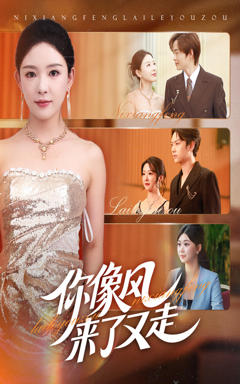 《你像风来了又走》