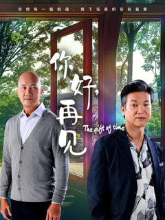 《你好，再见2025》