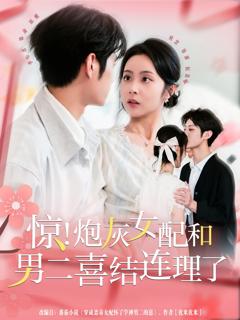 《惊！炮灰女配和男二喜结连理了》