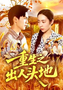 《重生之出人头地》