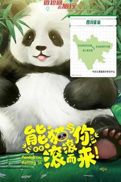 《熊猫与你，滚滚而来！》
