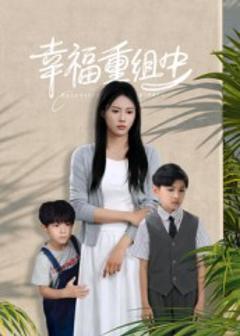 幸福重组中