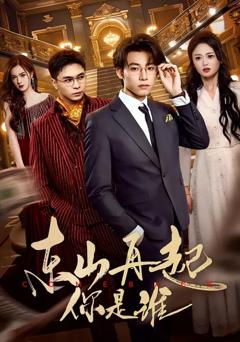 《东山再起你是谁》