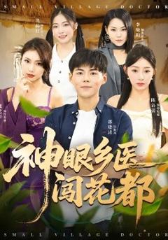《神眼乡医闯花都》