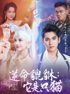 逆命貔貅它是只猫